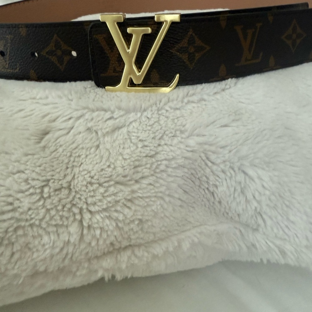 Louis Vuitton Brown and Gold Monogram Belt